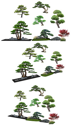 新中式景观树罗汉松造型树红枫SU模型