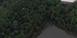 大自然森林绿地航拍视频视频