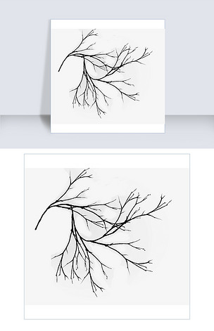手绘树干树枝插画