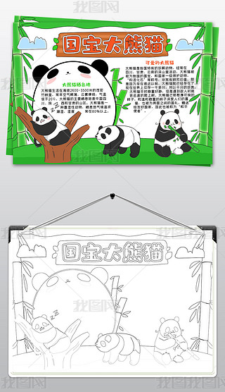 国宝大熊猫手抄报大熊猫手抄报模板