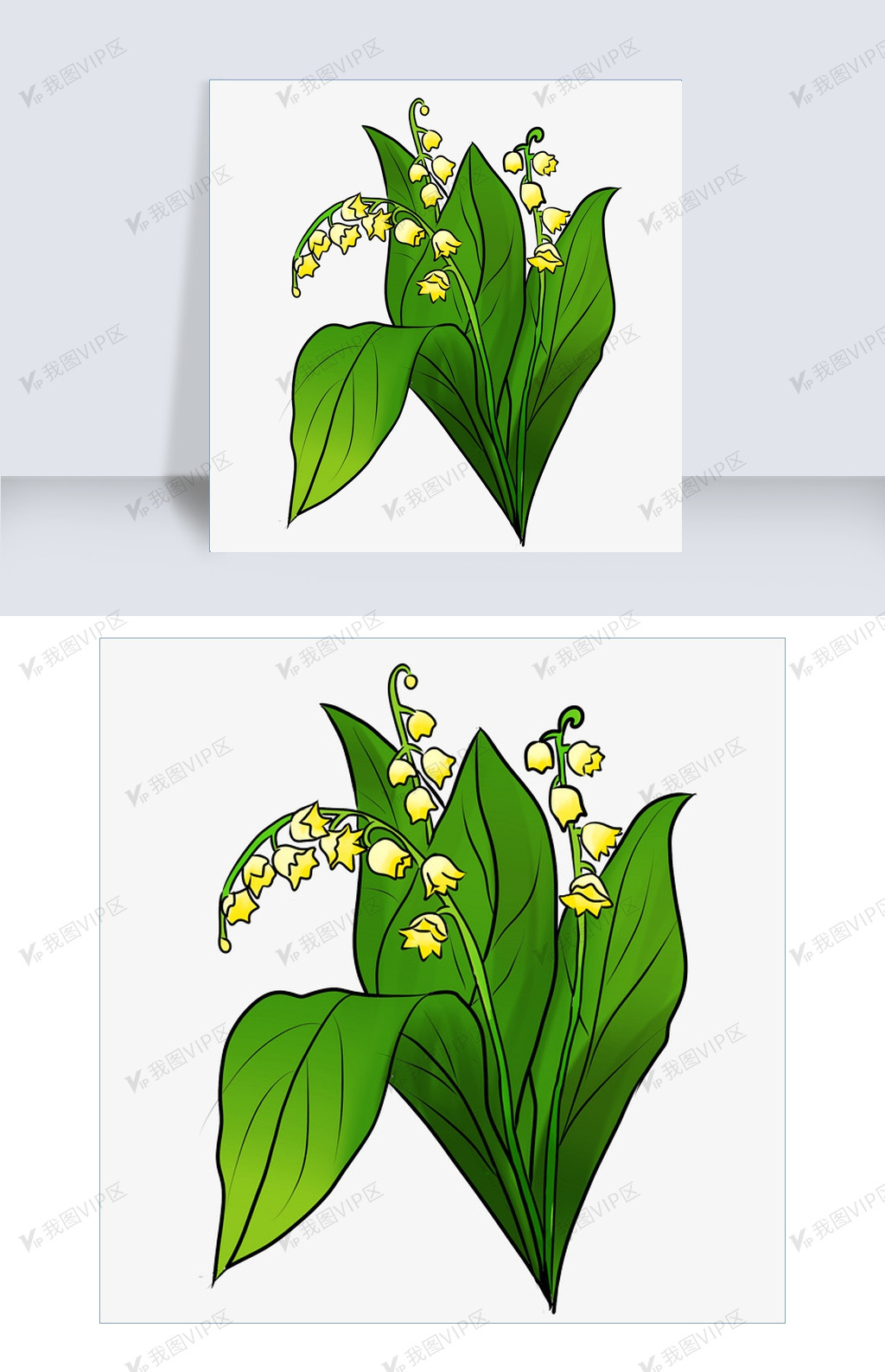 花卉植物风铃花插画