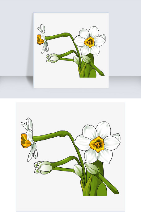 手绘清新水仙花插画