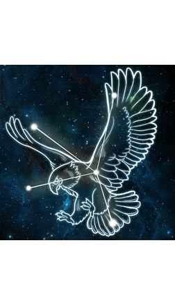 星座插画插画|天鹰座星座插画元素