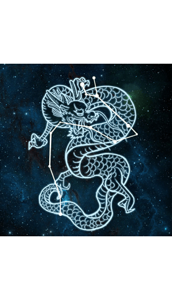 天龙座星座插画元素