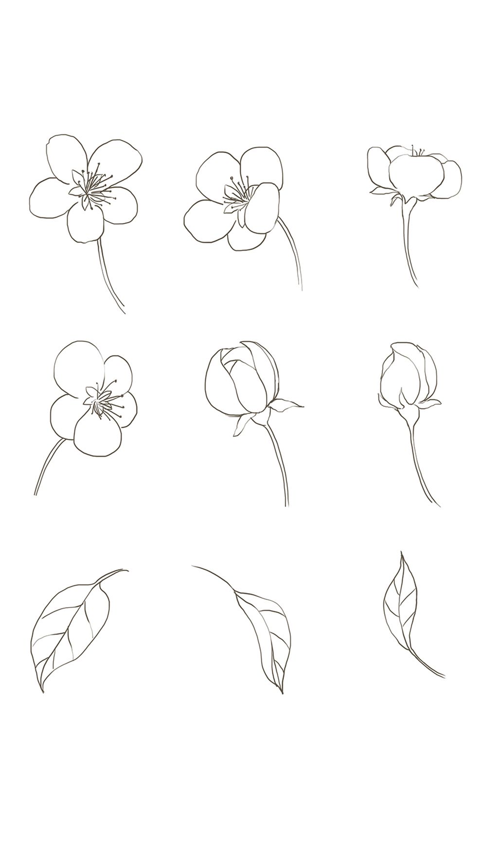 梨花元素.psd下载-编号27643986-插画元素-我图网