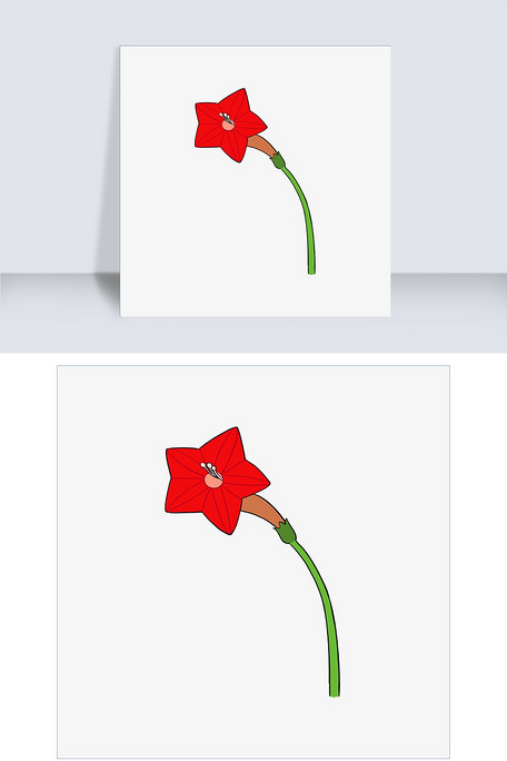 手绘花卉植物红色五星花