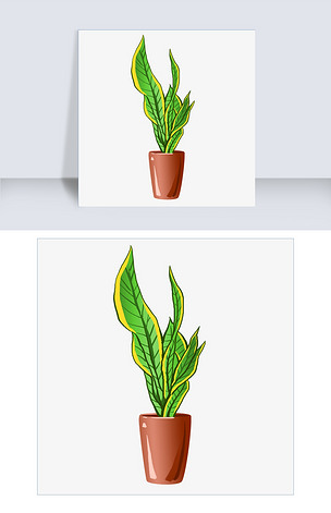 手绘虎尾兰盆栽插画