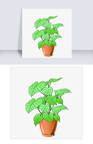 手绘小绿萝盆栽插画