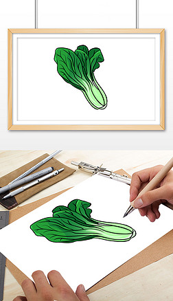 白菜饭简笔画插画|小白菜