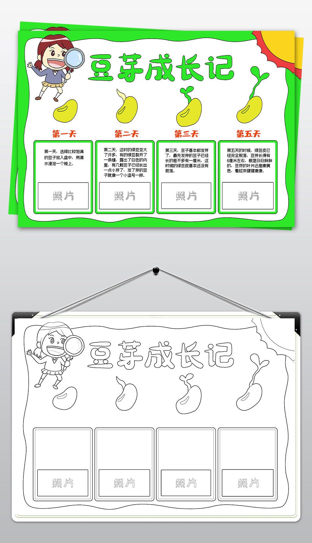 芽苗菜手抄报内容图片