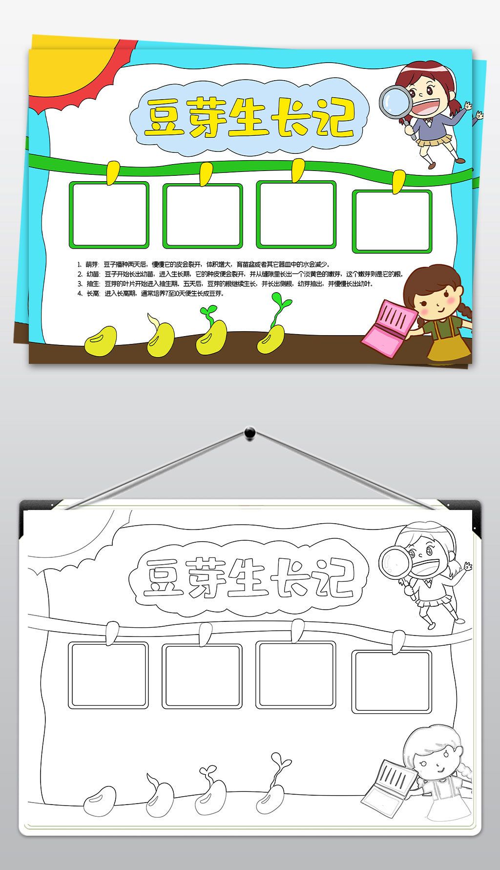 豆芽生长记手抄报植物小报生物小报