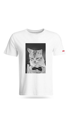 黑白猫T恤设计复古时尚可商用