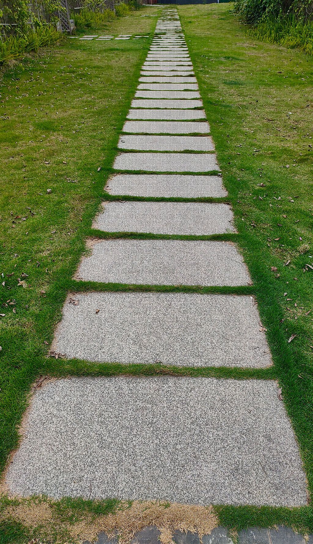 草坪石路植物摄像图素材简介我图网提供草坪石路植物摄像图下载,您