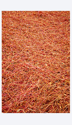 红色草背景图摄像