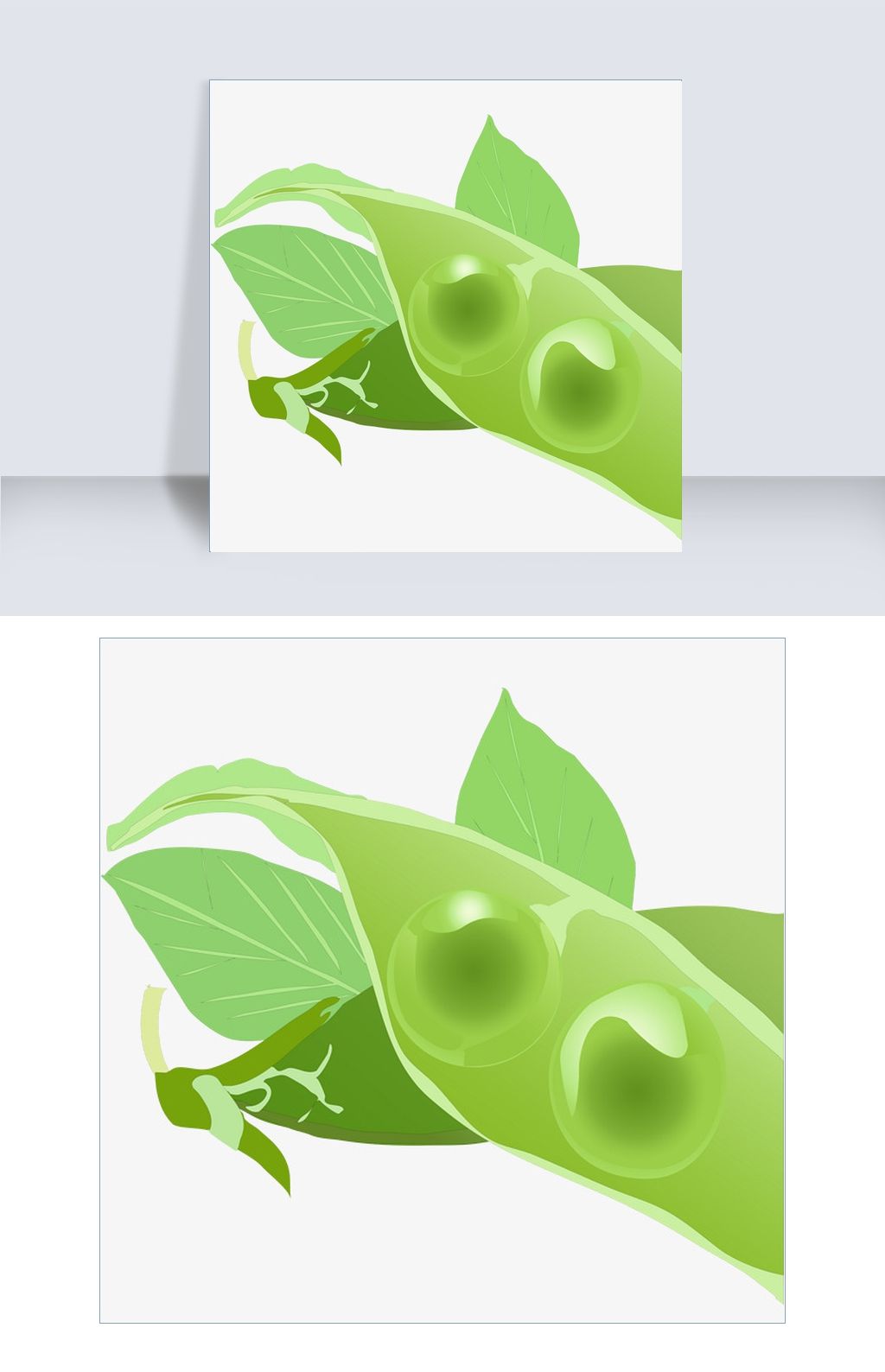 立秋绿色小清新唯美手绘卡通豌豆四季豆