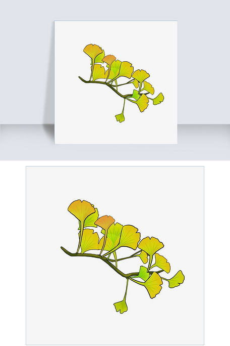 植物银杏树枝手绘插画图片素材(psb格式)免费下载_动漫人物大全-我