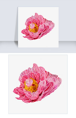 牡丹花开花瓣插画
