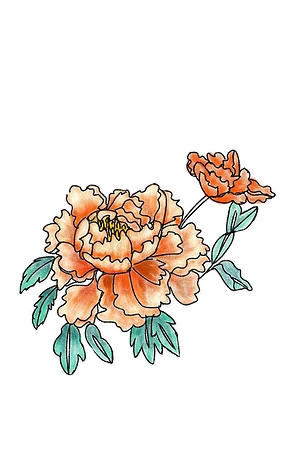 国潮风手绘牡丹花卉植物装饰花纹