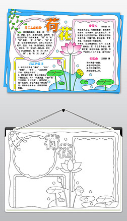 诗意荷花手抄报荷花手抄报空白模板