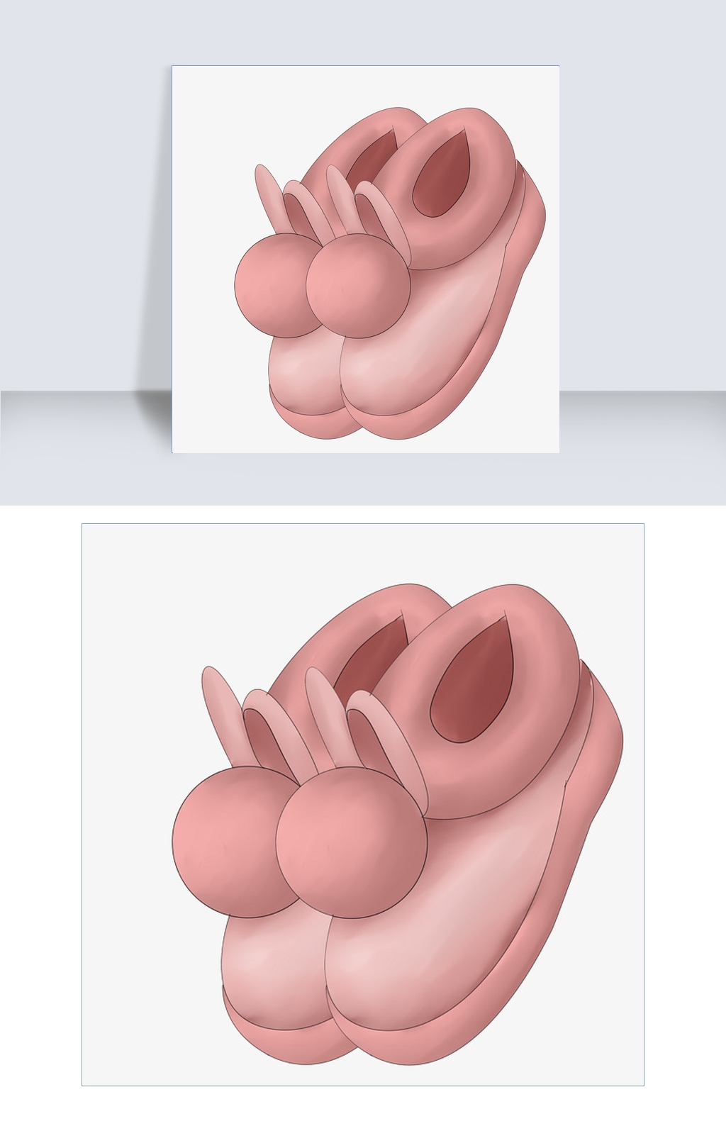 粉色的兔子鞋插画