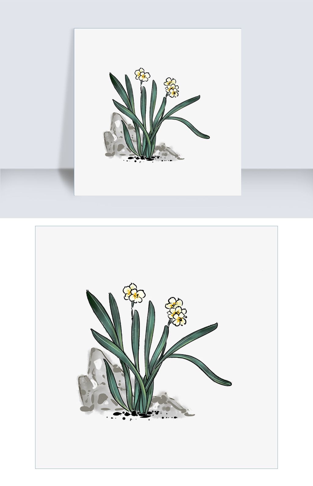 花卉水墨风格长叶水仙花手绘插画
