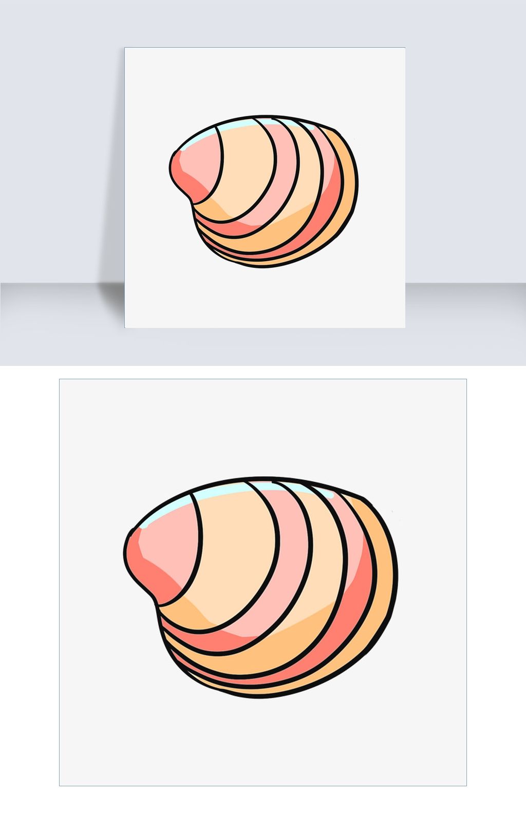 手绘彩色海螺插画