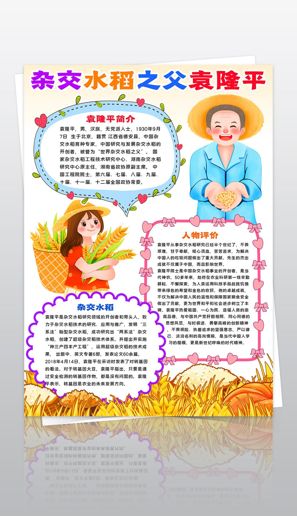 竖版杂交水稻之父袁隆平小报名人事迹故事手抄报