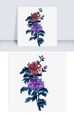 中国风水彩手绘花卉菊花png免扣图片