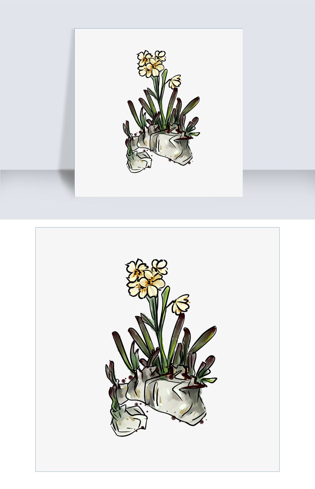 花卉水墨风格小叶水仙花手绘插画