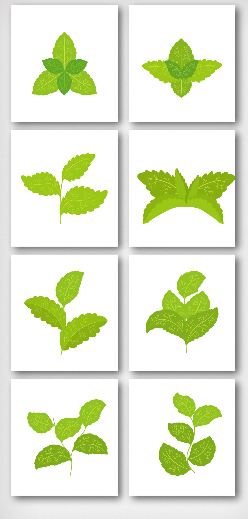 卡通绿色手绘薄荷叶子元素