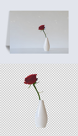 原创玫瑰花盆栽瓷瓶简约创意摄影图免抠元素