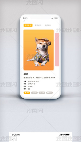 2019ɫԼｻƽ̨APP