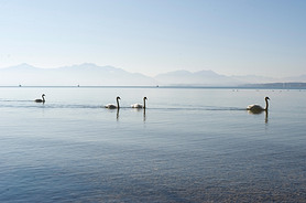 ¹Ľܱ߻ķ(Chiemsee)