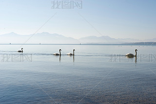 ¹Ľܱ߻ķ(Chiemsee)