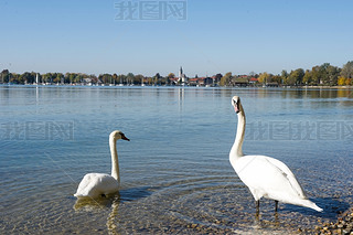 ¹Ľܱ߻ķ(Chiemsee)