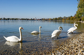 ¹Ľܱ߻ķ(Chiemsee)