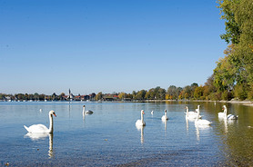 ¹Ľܱ߻ķ(Chiemsee)