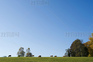 ¹Ľܱ߻ķ(Chiemsee)˵(Herreninsel)