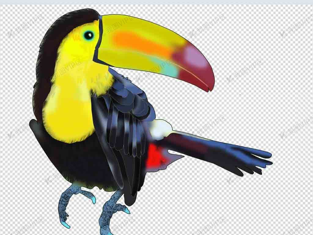 大嘴鸟小鸟免抠元素psd图片素材(psd分层格式)免费下载_动物大全-我