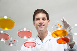 外籍男科学家在实验室用培养皿做实验