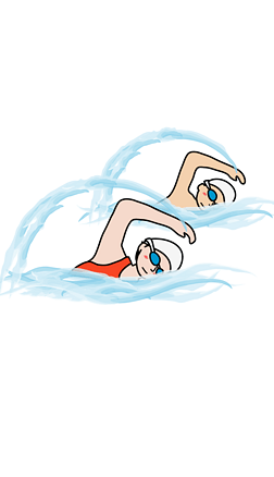 自由泳比赛游泳训练全民健身