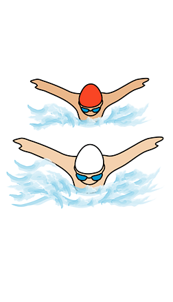 蝶泳比赛游泳训练全民健身