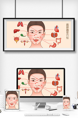 面部穴位器官科普医疗插画