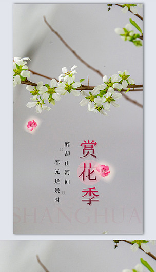 赏花季创意摄影图海报模板设计