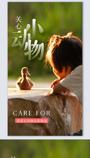 关爱小动物创意时尚摄影图海报模板设计