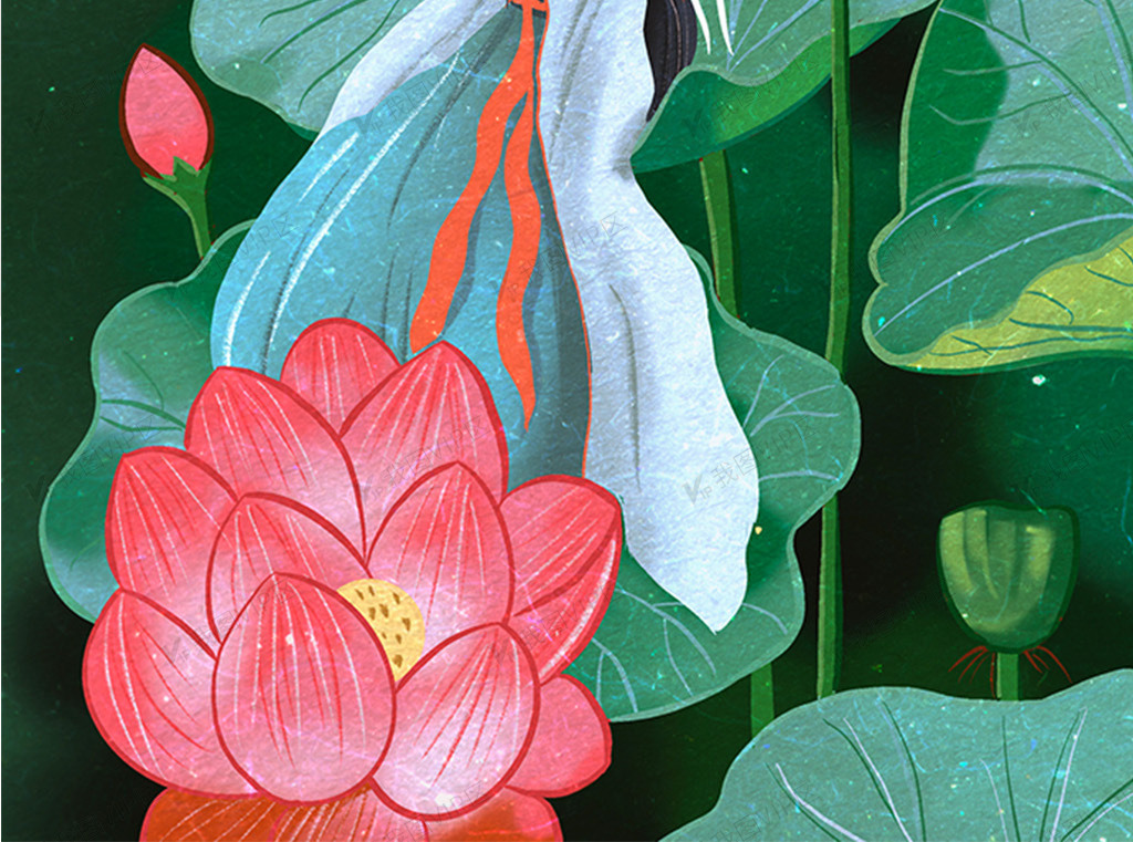 白露女孩荷花插画