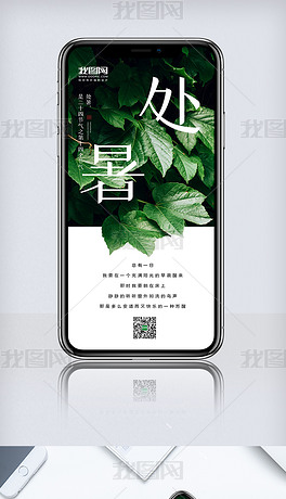 创意中国风二十四节气处暑时节手机海报
