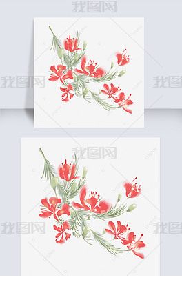 原创水彩凤凰花树盛开