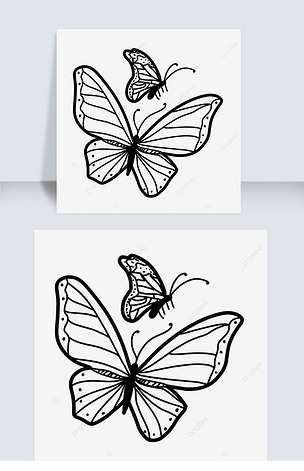 两只飞翔的线稿蝴蝶