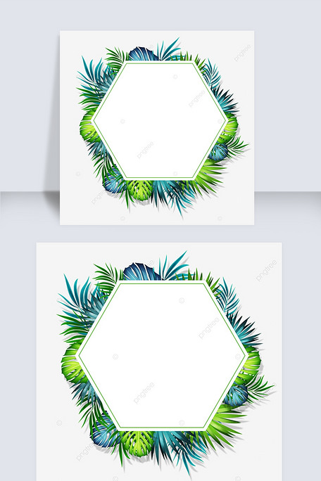 夏季热带棕榈叶六边形线条边框